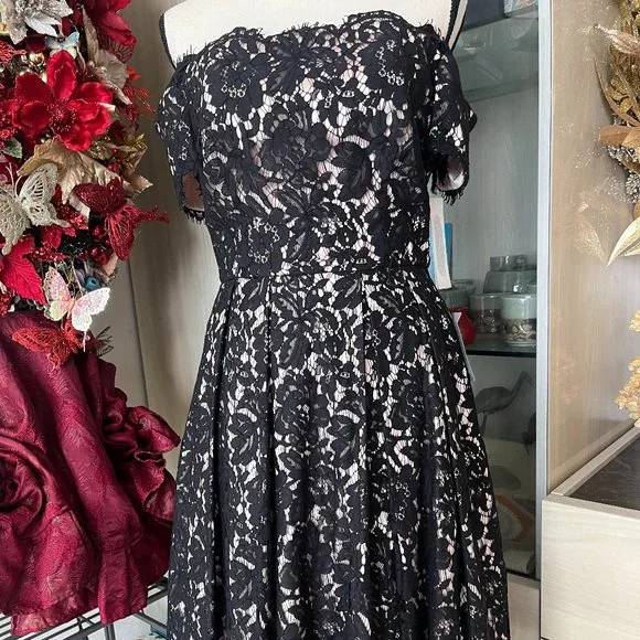 chinese dress ladies Eliza J Womens Velvet Lace Front Cocktail and Party Dress Black 6 at Amazon  Women's Clothing store